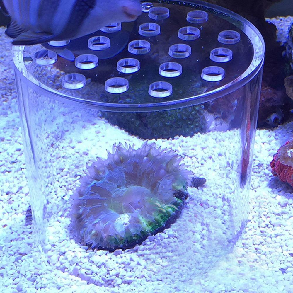 Acrylic Coral Feeder Cover Transparent Anti Feeding Shrimp Aquarium Coral Feeder Multiple sizes available