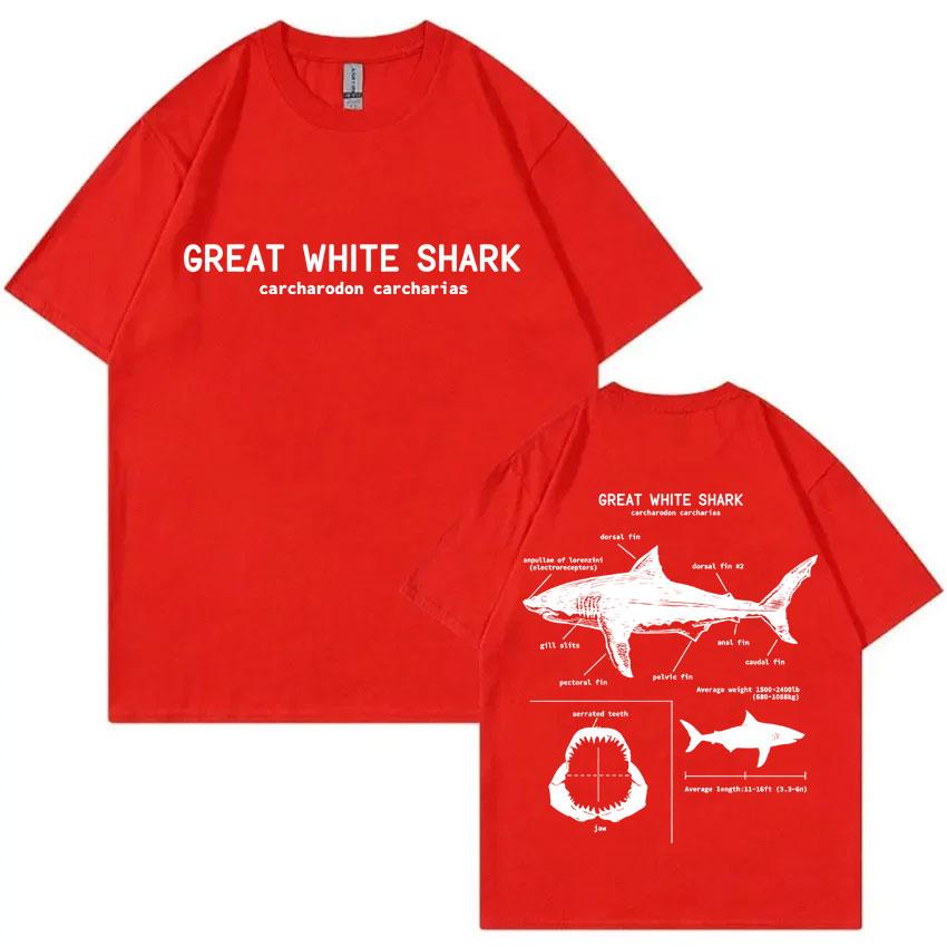 Marine Animals Great White Shark Anatomy Graphic Tshirt Men Casual Oversized Tshirts Mens Vintage Pure Cotton T Shirts