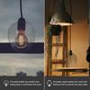 Glass Lamp Shade Lamp Cover Transparent Light Shade Round Globe Lamp Shade Lighting Fixture Replacement for Ceiling Light Bedside Table Lamp Standing
