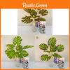 Realistic Turtle Shell Leaf Indoor Greenery Decoration For Living Room And Background Wall