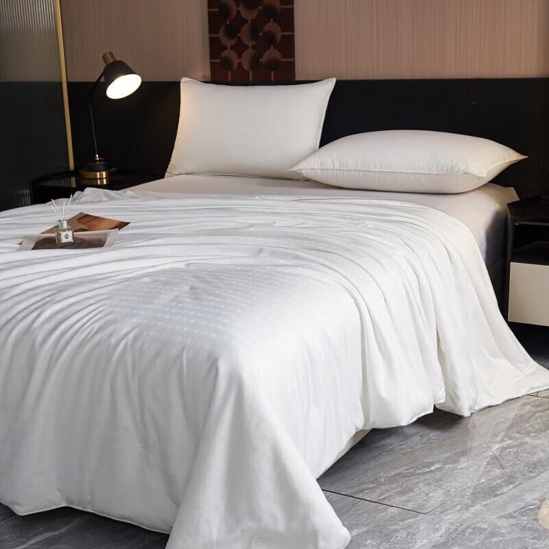 HODO Chinese Style Tussah Silk Quilt