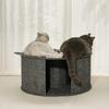 Four Seasons Cat Tunnel Bed Toy