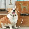 Dog Leash with LED light Anti-Slip Handle Feel Comfortable High Practicality One-Handed Convenient Pet Walking Leads top sale