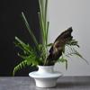 White Ceramic Vase Handmade Porcelain Bottle Flower Vase Hydroponics Terrarium Frisbee Pot Home Decoration Accessories