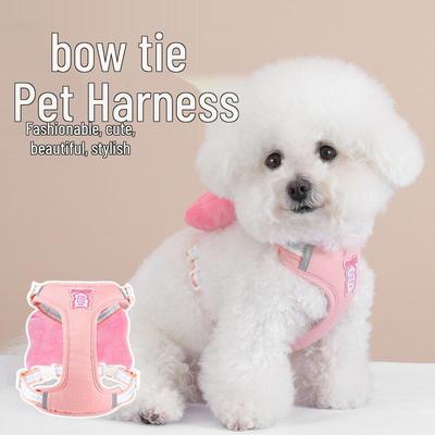 Cães – Colares e correias para cães