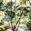 Metal Plantestamme Support Dekorativ Monstera Plante Stamme Support Genanvendelig Plante Stabilisator til Monstera Indendørs Potteplanter Udendørs Planter