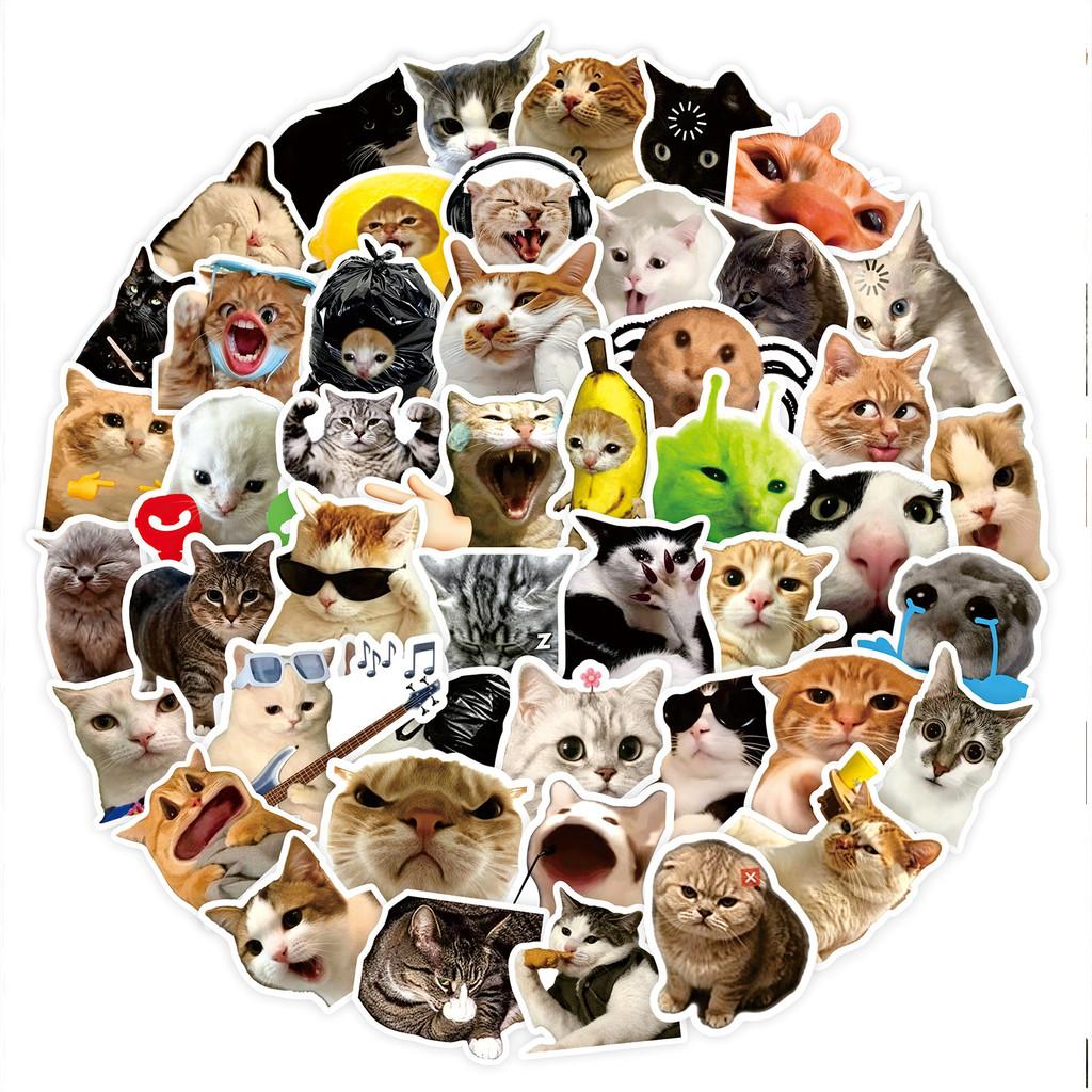 100Pcs Funny Cat Meme Stickers Cute Kitten Expression Decals Waterproof For Notebook Journal Decor LanLanStickersWorld Store