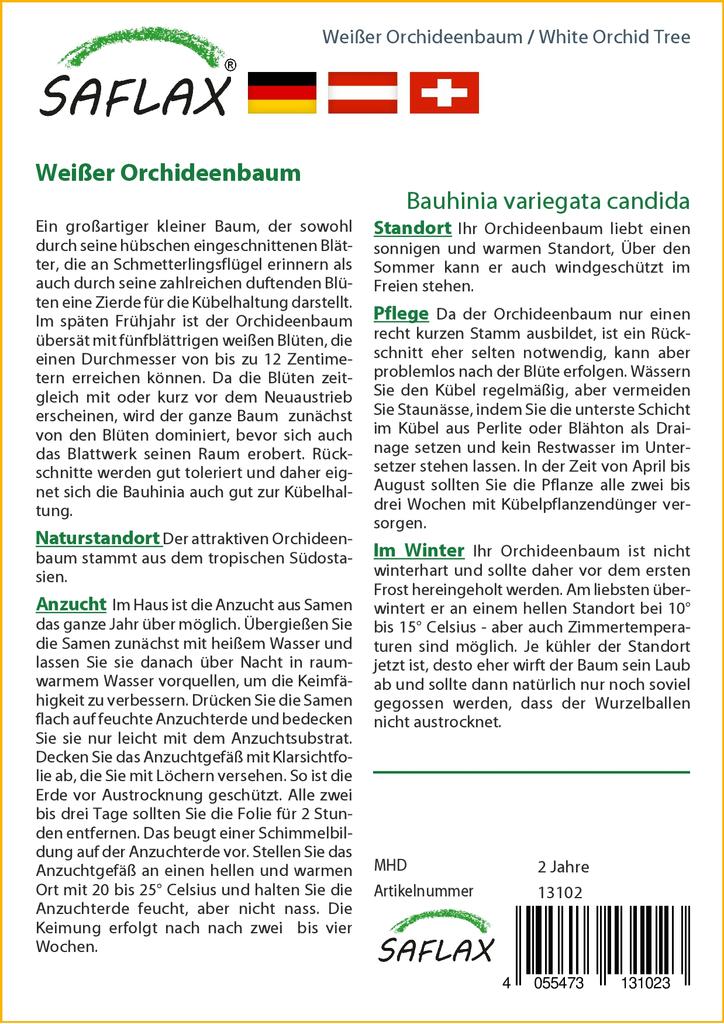 SAFLAX Arborele de orhidee albă - 5 semințe - Bauhinia variegata candida