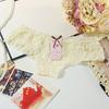 Cute Lace Low Waisted Panties with Mesh and Sexy Women's Panties