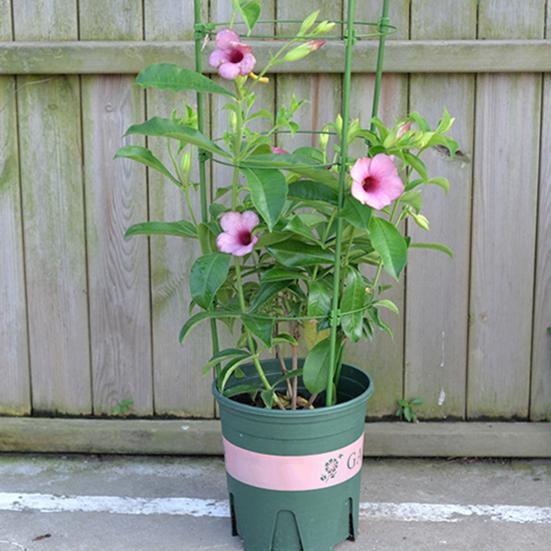 Plant Support Stand with Adjustable Rings Stable Construction Non-Fading Simple Installation Climbing Plants