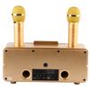 Family KTV High Quality Sound Kit Integrated Wireless Microphone Live   Card   Karaoke Speaker