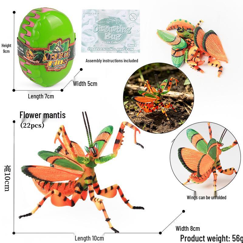 4D Insect Model Toy Set: Ladybug, Stag Beetle, Centipede, Ant, Fly, Mantis