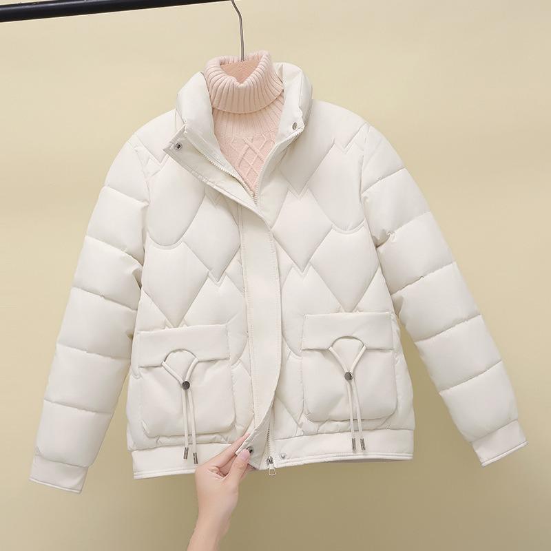Winter down padded clothes women's casual versatile stand-up collar new small padded jacket thin short padded jacket