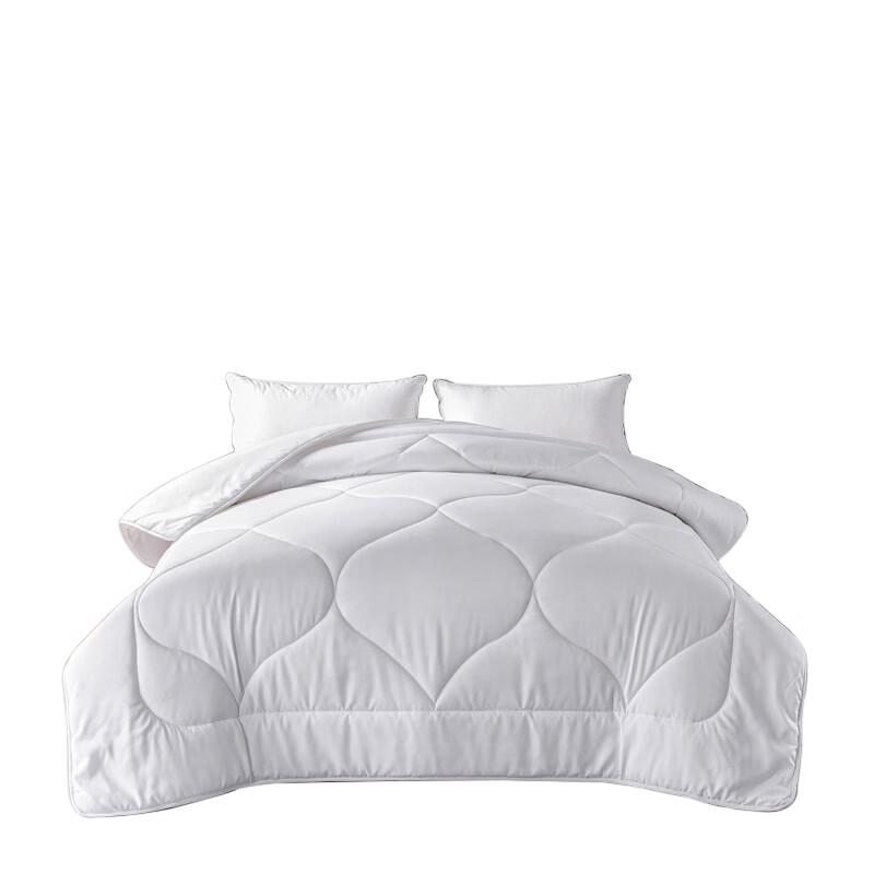 LOVO Luxurious All-Season Warm Quilt