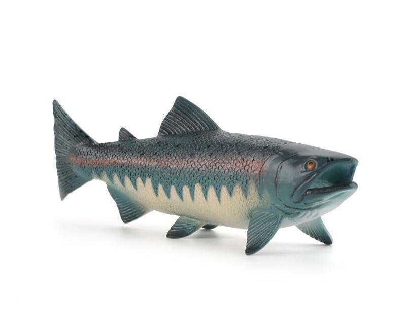 

[Nekogamiyama] Rainbow Trout, Rainbow Trout, River Fish, Mountain Stream Fish, Figurine, Model, Miniature, Ornament, Decorative, Collectible Model