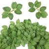50/100pcs Artificial Plant Pieces Silk Rose Leave Fake Valentine's Wedding Wreath Festival Decora Home Diy Handwork Flowers prop