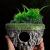 Landscape Hallowed Cave Hideouts Fish Tanks Decorations for Aquariums Terrarium Shrimp Caverns Stone Ornaments