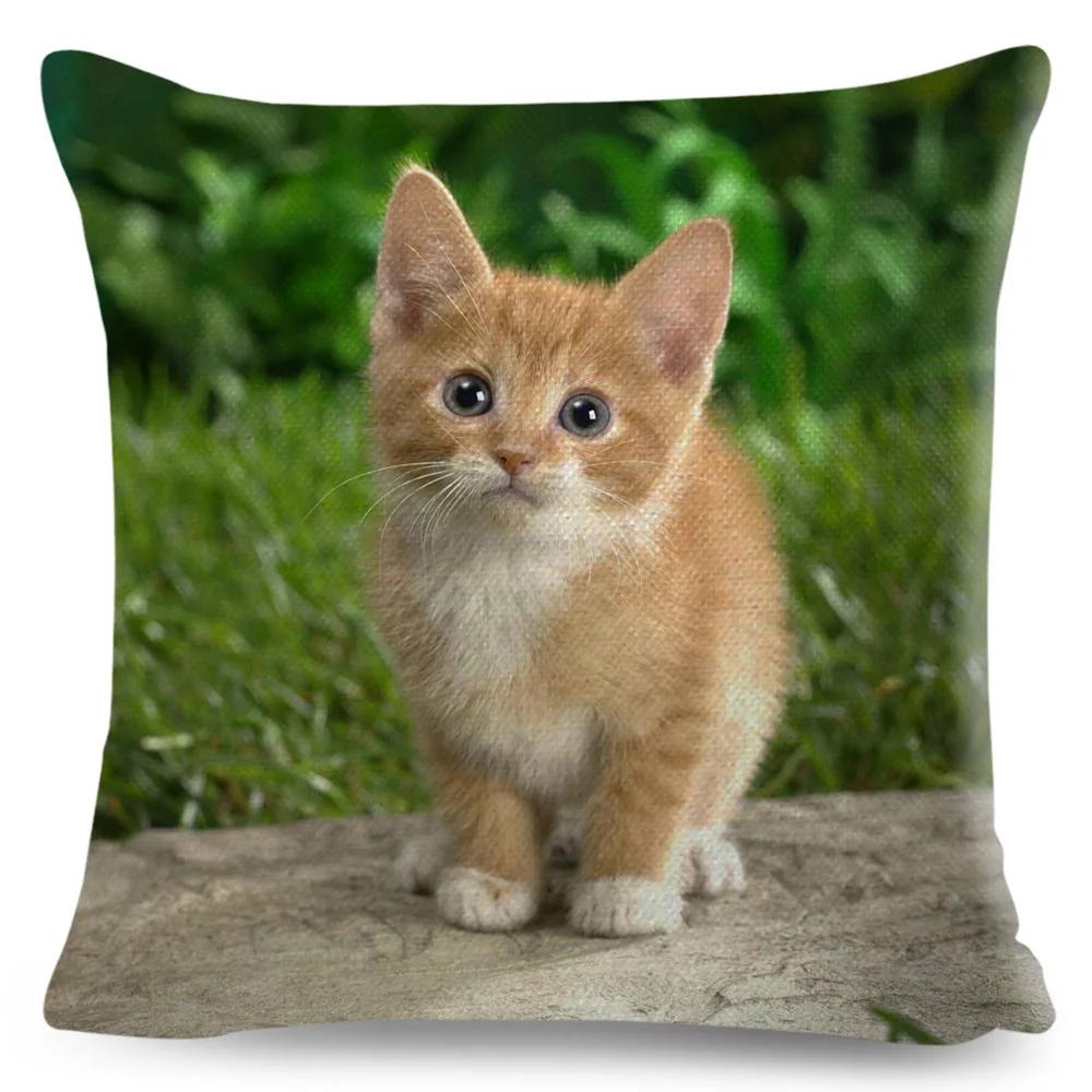 Funny Cute Cat Cushion Cover Decor Lovely Pet Animal Print Pillowcase Polyester Throw Pillow Case for Sofa Home Car 45x45cm