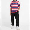 Jordan T Shirts Men's Multicolor Crew Neck Moderate Straight Fit CK9572-455