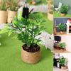 Mini Potted Plant Cute Collectible Plastic Doll House Orange Tree Model Decoration for Micro Landscape