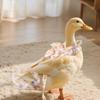 Pettorina con Pannolino per Anatra Domestica con Fiocco, Vestiti Regolabili per Pannolino per Anatra da Chiamata, Pollo, Oca, Guinzaglio per Passeggiate all'Aperto