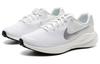 Nike REVOLUTION 7 White Metallic Silver FB2208-101