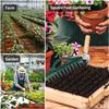 3/1x Plastic Hand Dibbler Garden Seeder Tool 12-Hole Fast Seeding Dispenser Dibber Efficient Planting In Flower Lawn Garden Tool