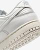 IB7311-001 Nike  Dunk Low Next Nature Metallic Platinum (Women's)