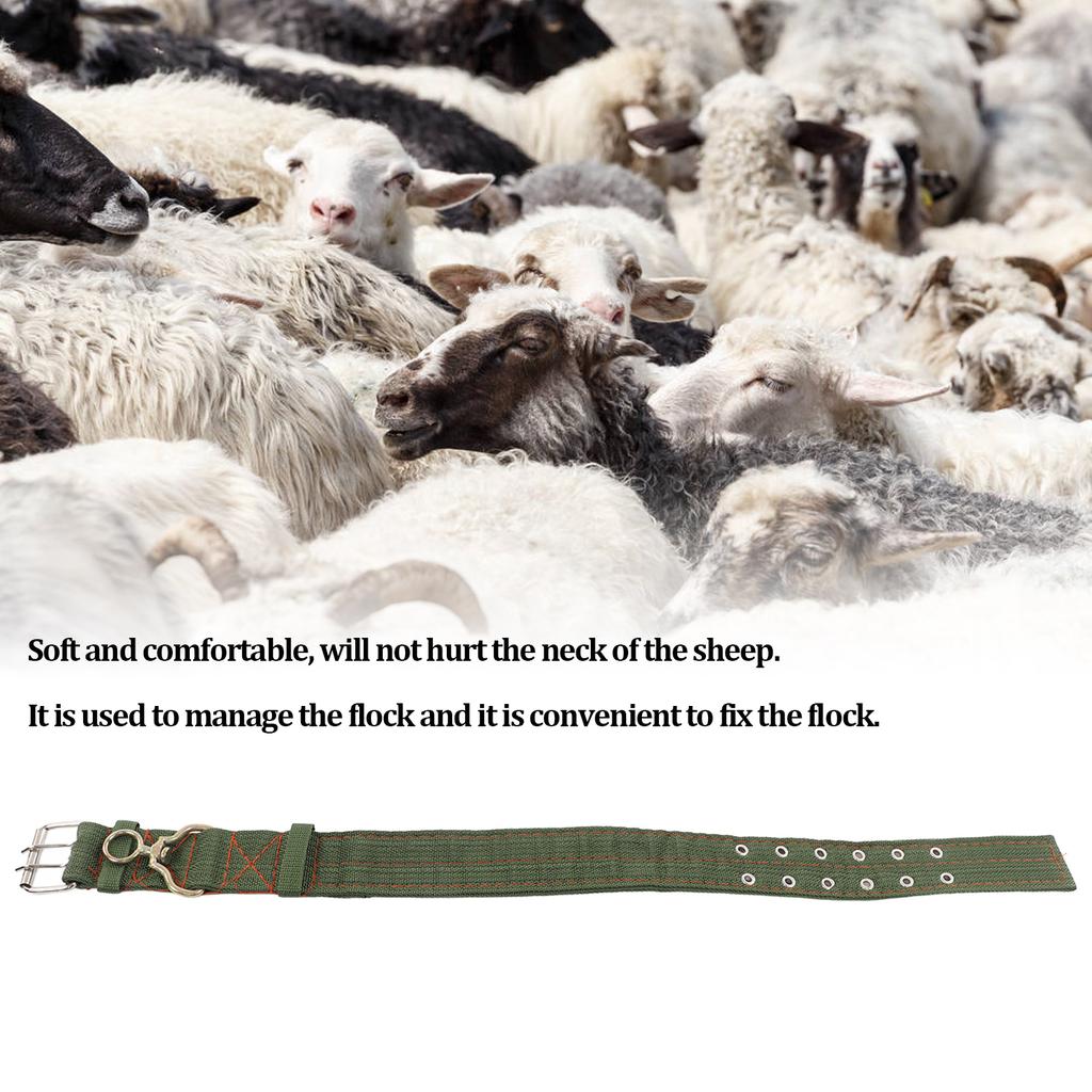 Sheep Collar Wear Resistant Turn Buckle Collar Farm Animal Collar Tie Collar for Cow Goat