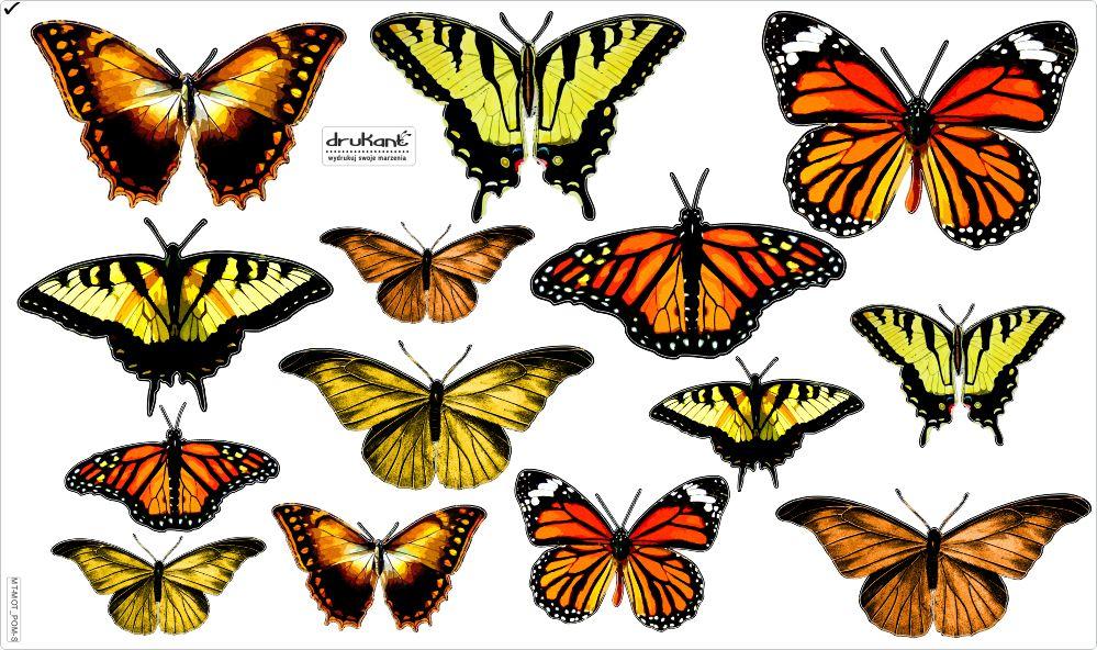 Decorative Stickers for Kids - Orange Butterflies
