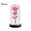 Birthday Rose Present Flower Gifts for Her Mom Wife Grandma Light Up Eternal Gift in A Dome Romantic Anniversary Valentine's Day Christmas