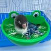 Bird Bowls For Cage Indoor Cage Bird Feeder Lovebird Watering Container Splash-Proof Parrot Bathing Dish For Macaw Cockatiel