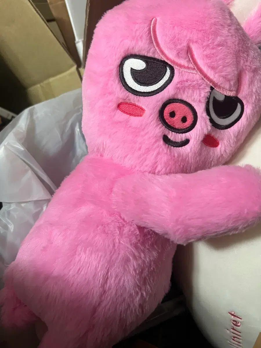 

STRAY KIDS Skz Pig Flashback Bag Used