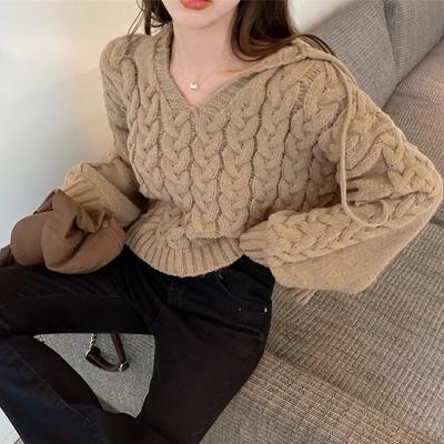 Loose Sweater Women's Hooded Sweatshirt Cropped Solid Color Knit Top