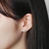 Vendome Aoyama Basic Earrings APVA2368 DI [Official]