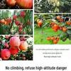 Telescopic Stainless Steel Fruit Picking Tool for Persimmons, Toona Sinensis, Peaches, Apricots, and Plums.