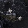 Eight-pointed Star Earrings Small, Cold and Fashionable Earrings for Your Girlfriend