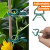 Multi-piece Adjustable Plant Clip - Reusable Garden Support for Flowers, Vines, Vegetables and Tomatoes - Durable Plastic, Essential Gardening Tools