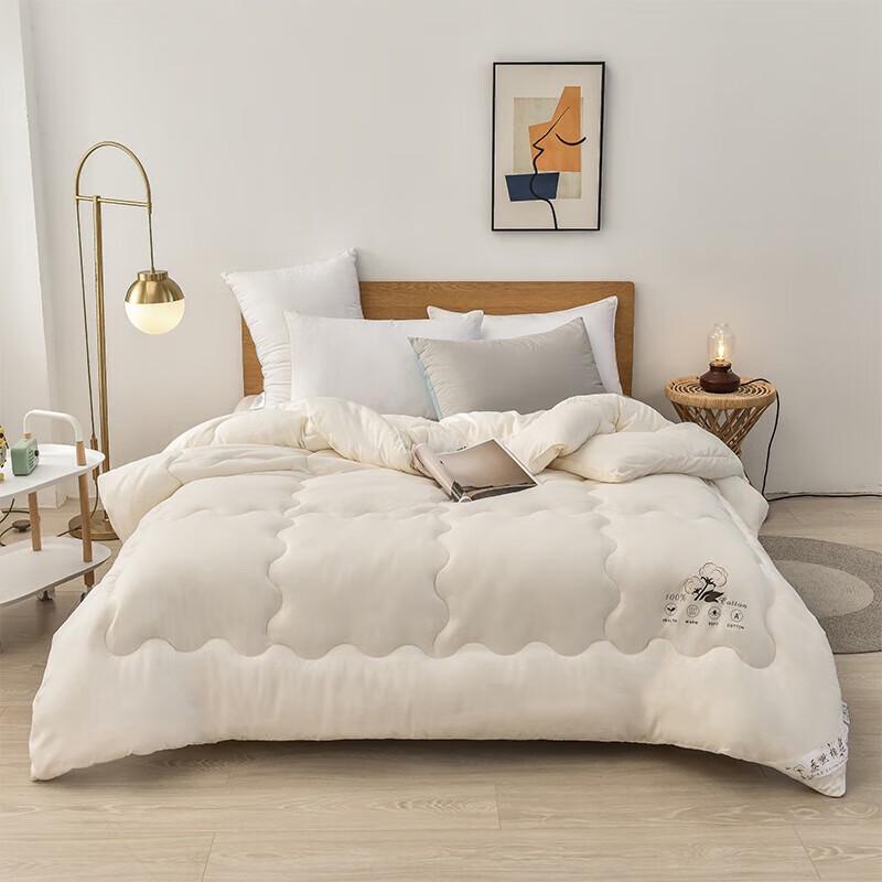 

FIRS Xinjiang Cotton Quilt