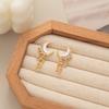 New Product Fashion Temperament Popular Model Moon Star Fringed Earrings Diamond Stud Earrings Jewelry