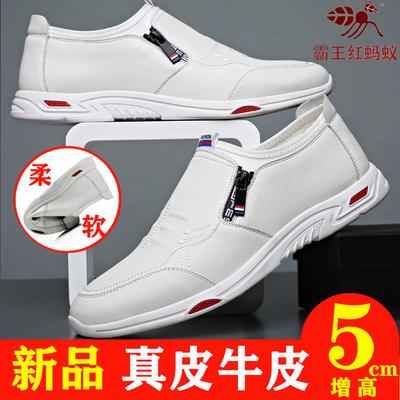 Bawang Red Ant Men's Shoes 2025 Spring and Summer New Men's Daily Casual Leather Shoes White Leather Breathable Height-increasing Shoes
