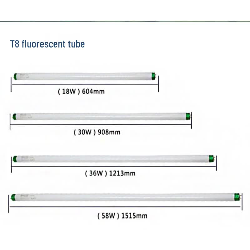 Philips T8 Fluorescent Tube
