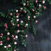 Artificial Rose Vine Wall Hanging for Indoor Decoration
