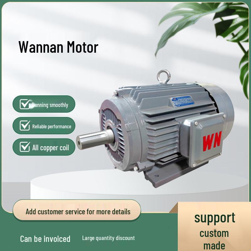 Anhui Wannan YE3 Super-Efficient Copper Coil Three-Phase Motor
