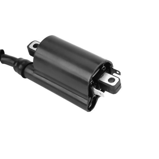 2Pcs Motorcycle Ignition Coil Stable Performance Replacement Black Modification Part Front/Rear Ignition Coil