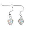 Elliptical High End Stylish Earrings
