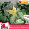 Self-Adhesive Cold Laminating Film - 6 Inch, A4, A6 for Photos, Bookmarks, and Leaf Specimens