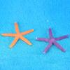 Colorful Five-Pointed Starfish Resin Fish Tank Starfish Landscaping Ornaments