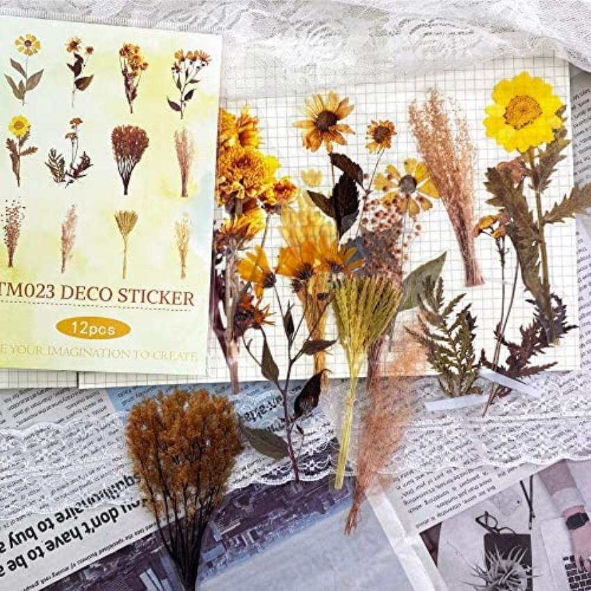 Plant Flower Floral Decorative Journaling Supplies Big Size Transparent Waterproof Cottagecore Stickers DIY Sticker 5 Styles