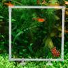 Klarer Aquarien-Schwimmpflanzen-Käfig Acryl-Aquarien-Futterring Garten Rasen Hof